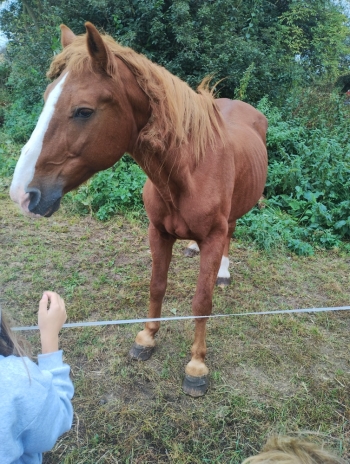 IMG_20250922_112538116_HDR