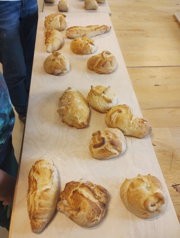 IMG_20250922_141239934