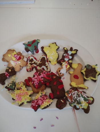 IMG_20251218_110150450