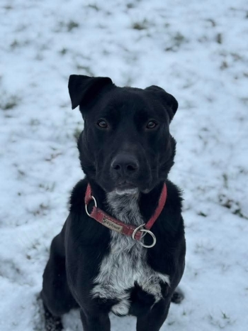 FB_IMG_1767866123346