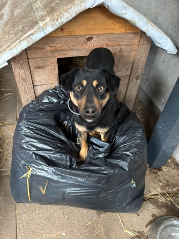 FB_IMG_1767866111359