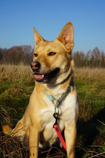 FB_IMG_1767866134491