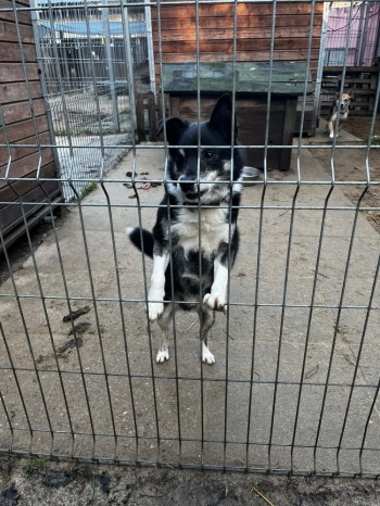 Messenger_creation_64162155-C8E7-4208-B9F5-50E3966A0201