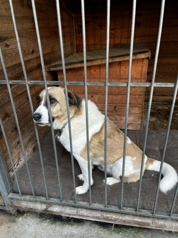 Messenger_creation_E068D556-5A17-46C2-973F-7A4974557F3F