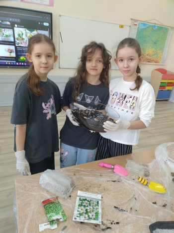 9f5387b2-7e2e-4947-a04f-0e15014b6fe5