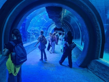 20260616_121104