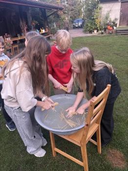IMG_1908.jpeg